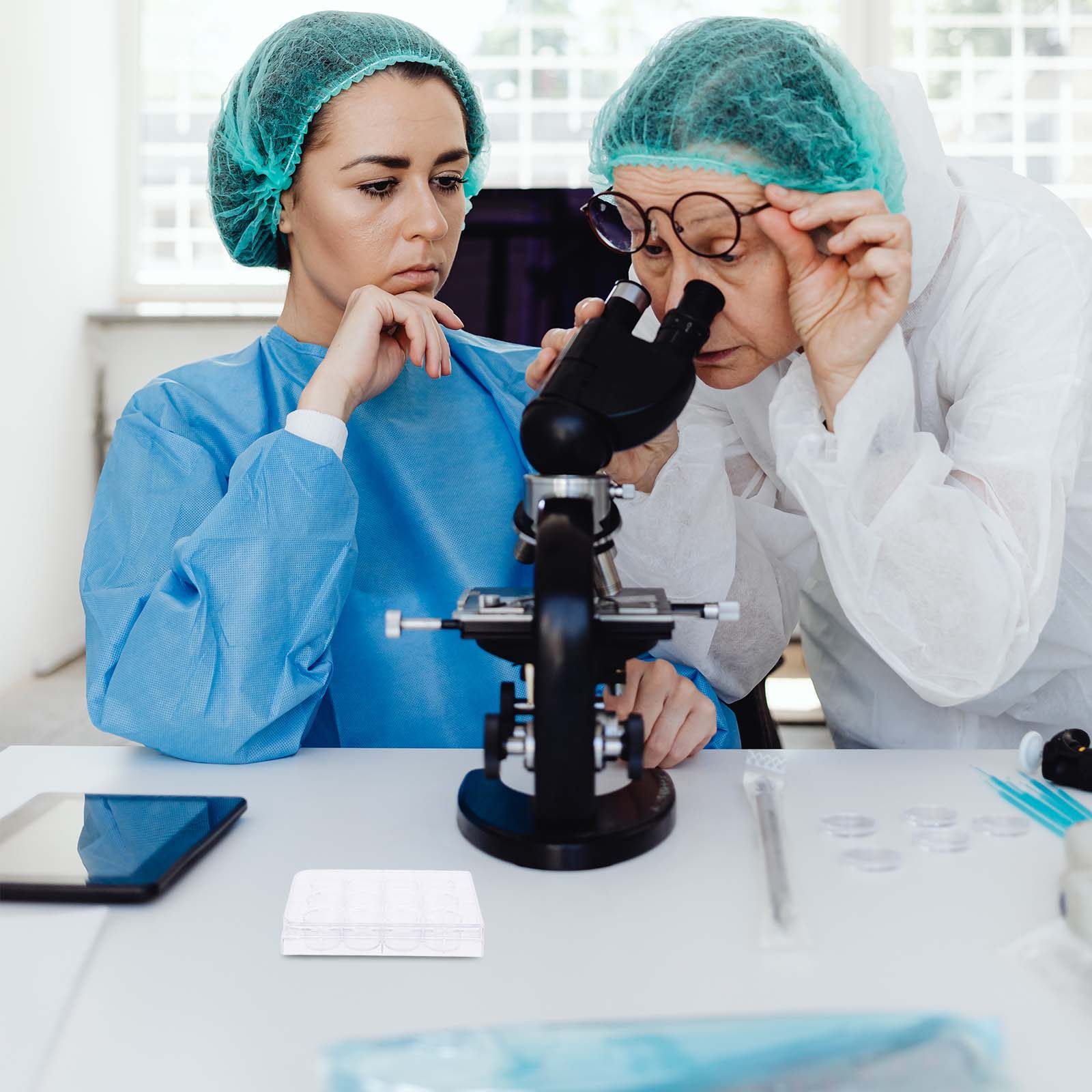 Lab Equipment - Plat Kultur Sel 12 Lubang, Wadah