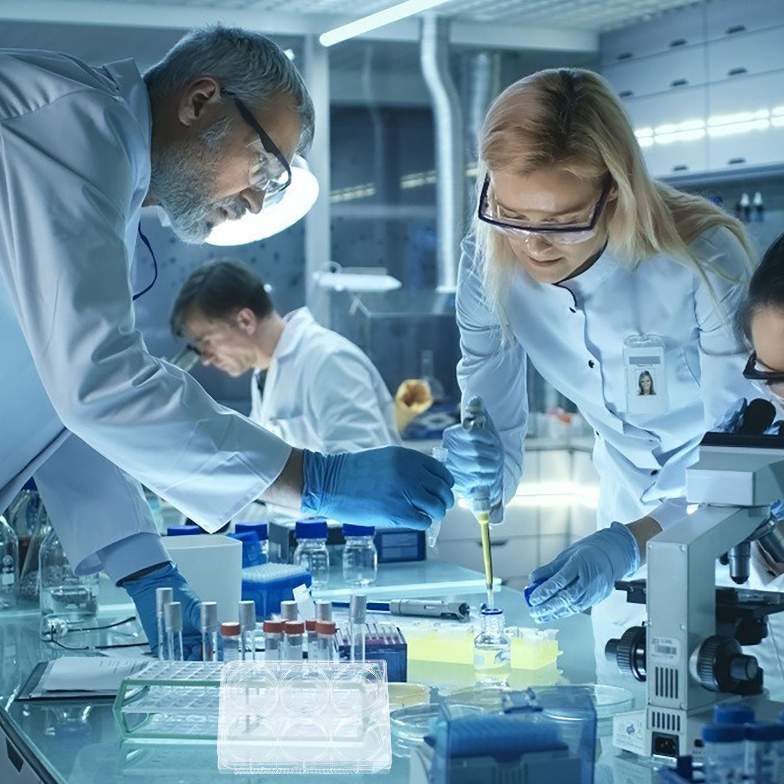 Pelat Kultur Jaringan Laborato - Lab Equipment ulasan dan harga
