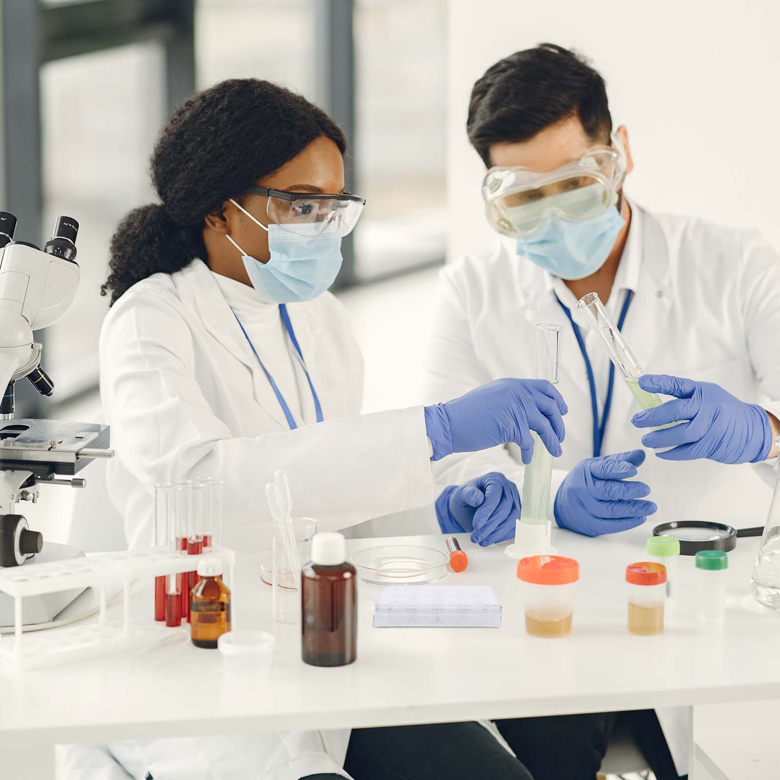 Plat Kultur Sel 12 Lubang, Wad - Lab Equipment ulasan dan harga